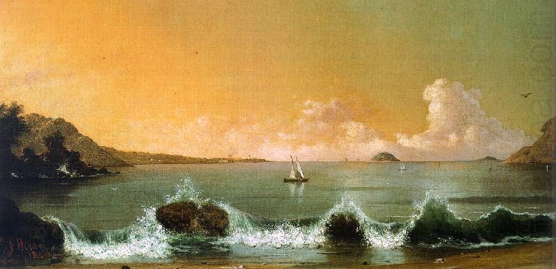 Martin Johnson Heade Rio de Janeiro Bay china oil painting image